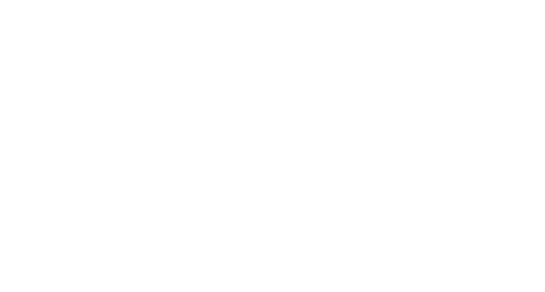 logo light